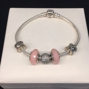 Pandora Bracelet With Charms And Beveled Clips